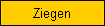 Ziegen