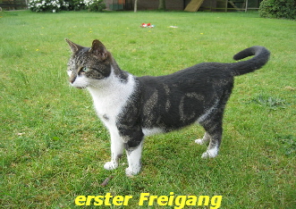 erster Freigang