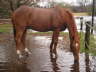 Dezember 2007