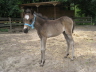 07. Juli 2008