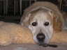 November 2007