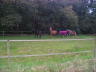 Oktober 2007