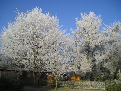 Dezember 2007