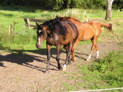 29. August 2007 