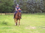 Reiten